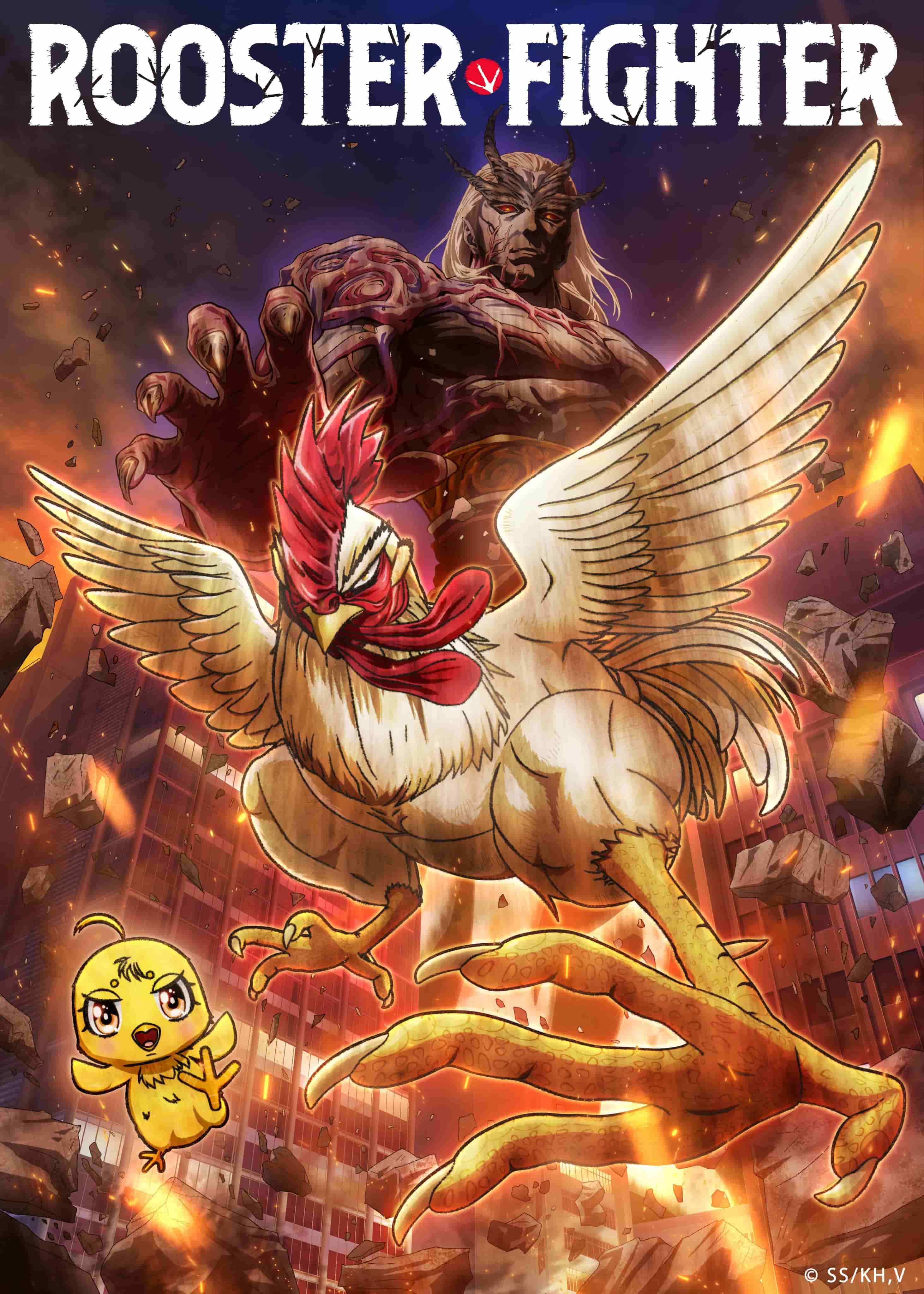 2024年樱谷秀原作漫画《公鸡斗士》宣布改编为动画，并公开PV、视觉图、主要制作人员，详情待后续发表！